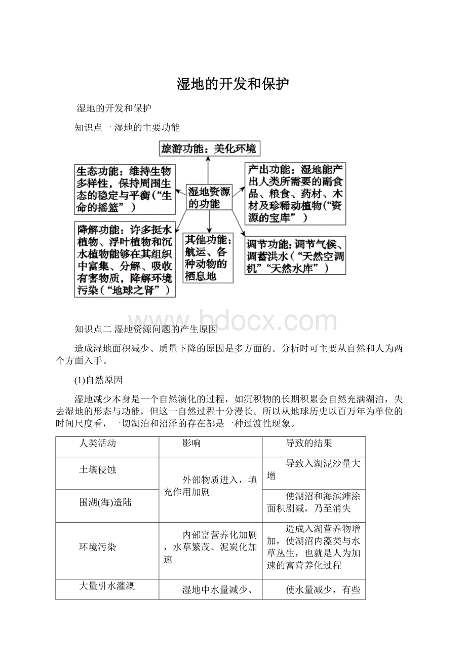 湿地的开发和保护Word文件下载.docx_第1页