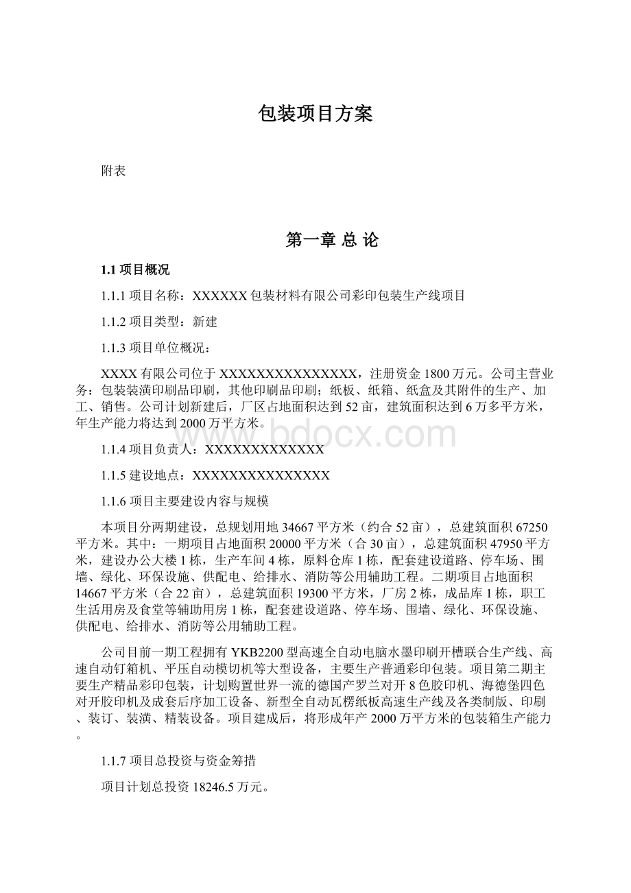 包装项目方案文档格式.docx