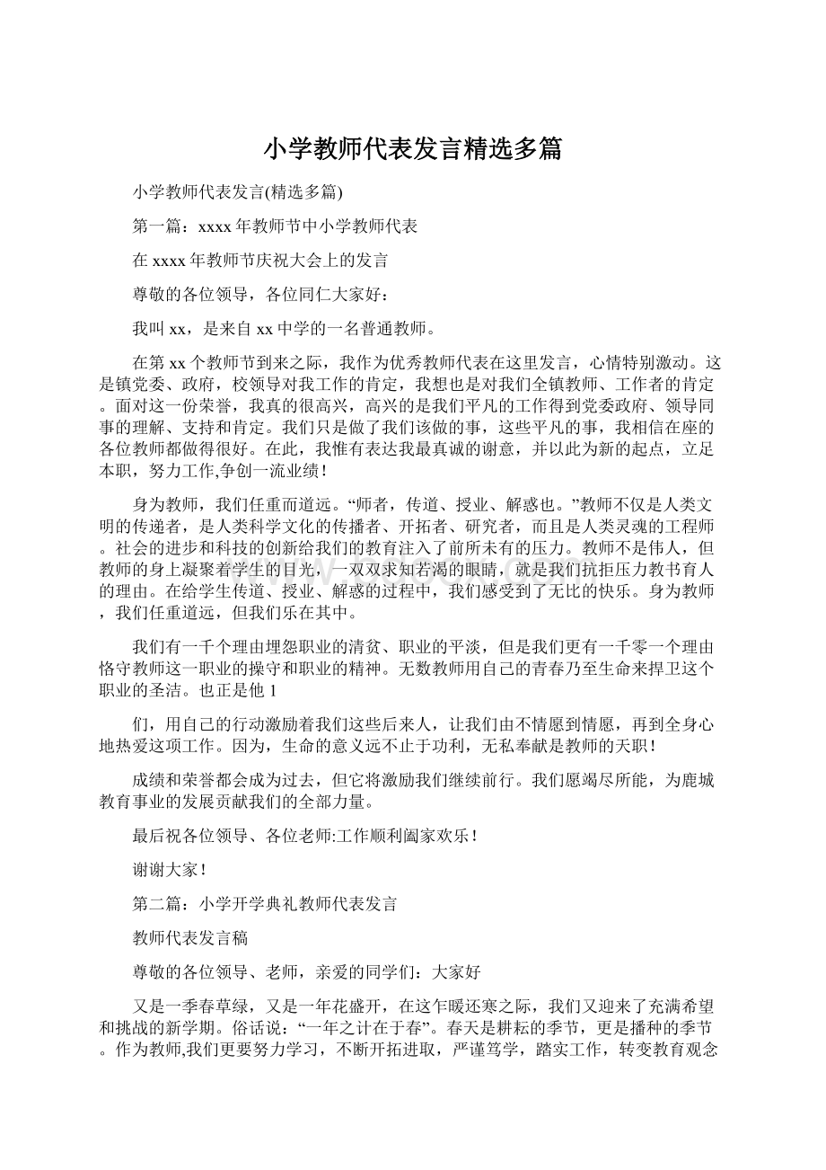 小学教师代表发言精选多篇文档格式.docx