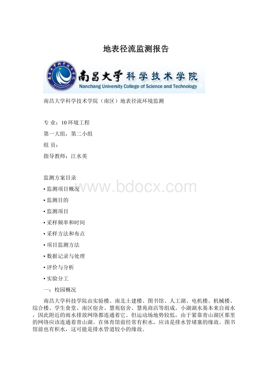 地表径流监测报告Word下载.docx