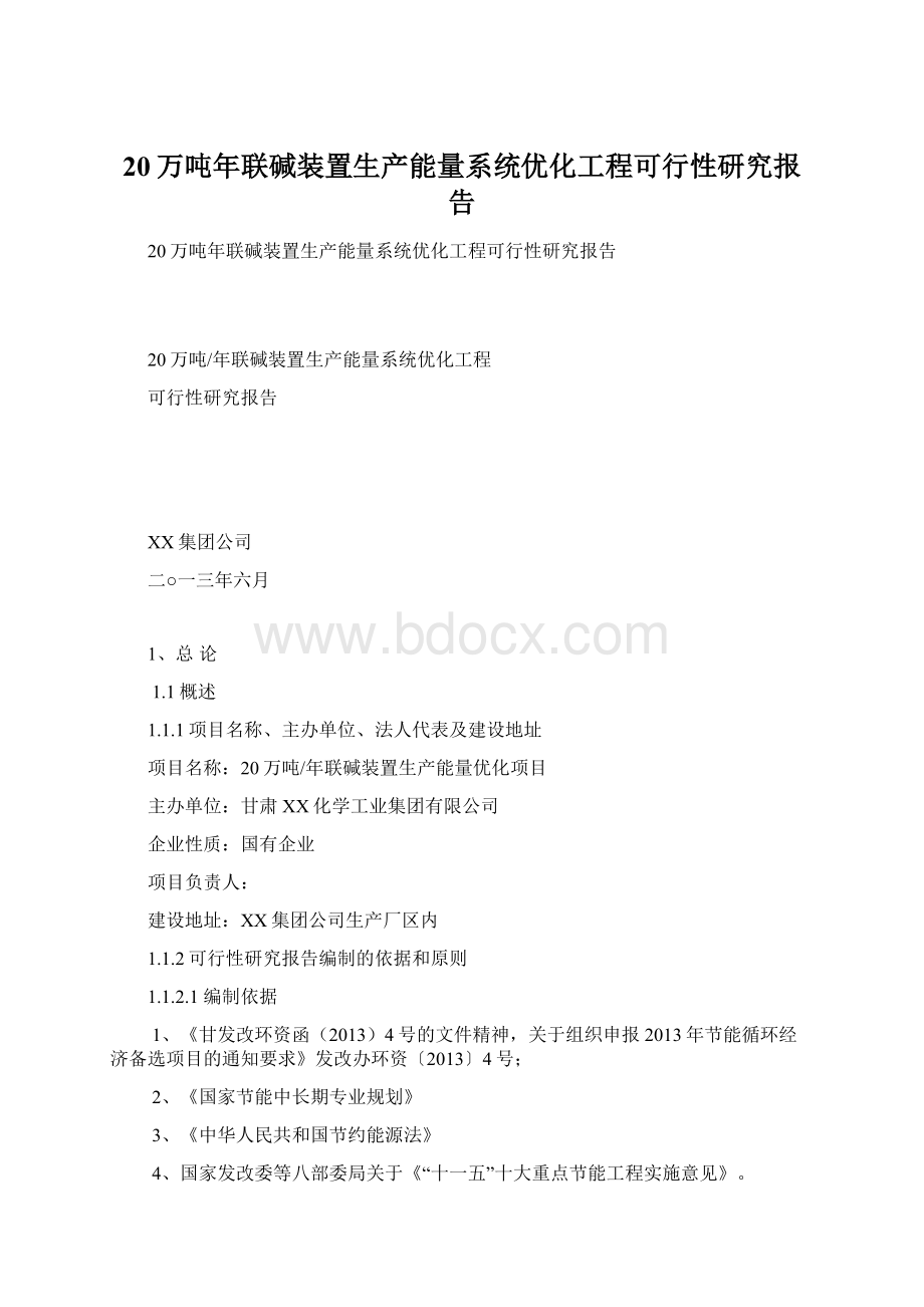 20万吨年联碱装置生产能量系统优化工程可行性研究报告.docx