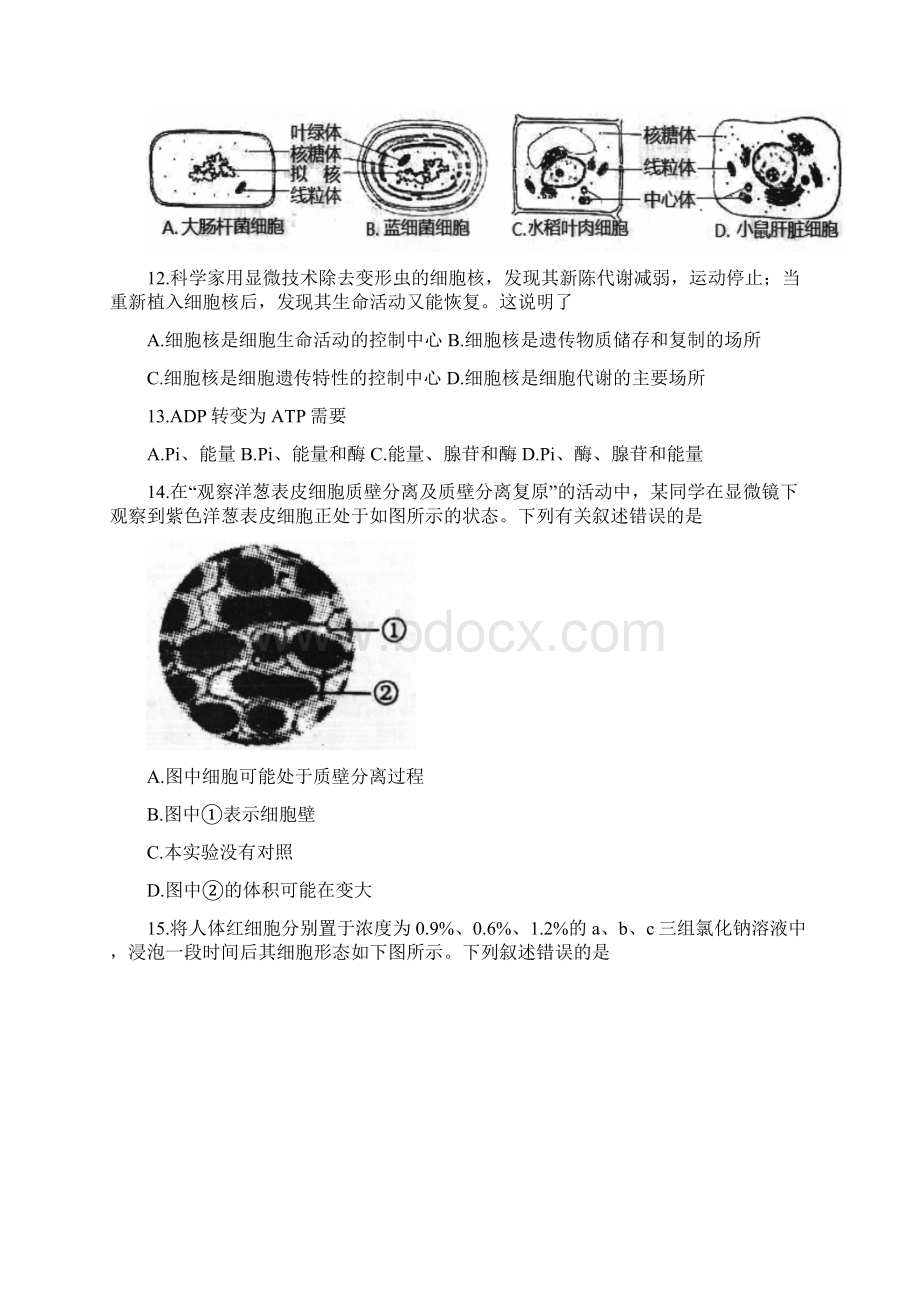 浙江省温州市高一上学期期末考试生物试题.docx_第3页