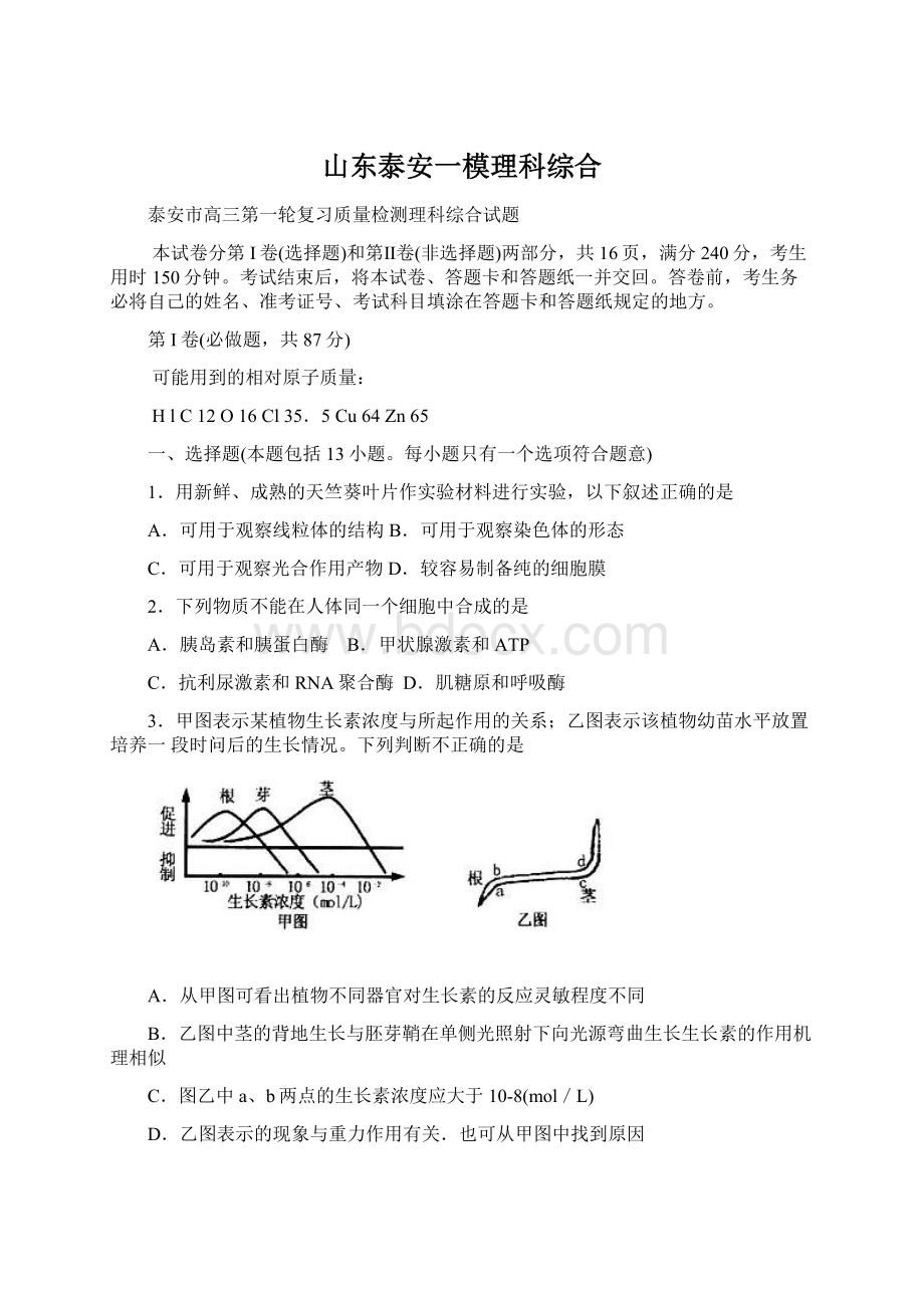 山东泰安一模理科综合Word文档下载推荐.docx