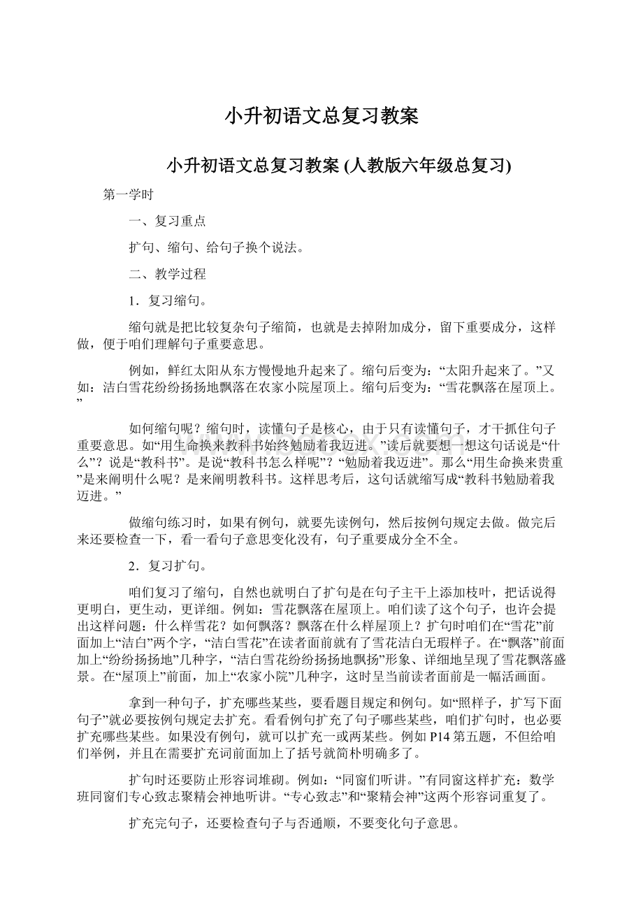 小升初语文总复习教案Word下载.docx_第1页