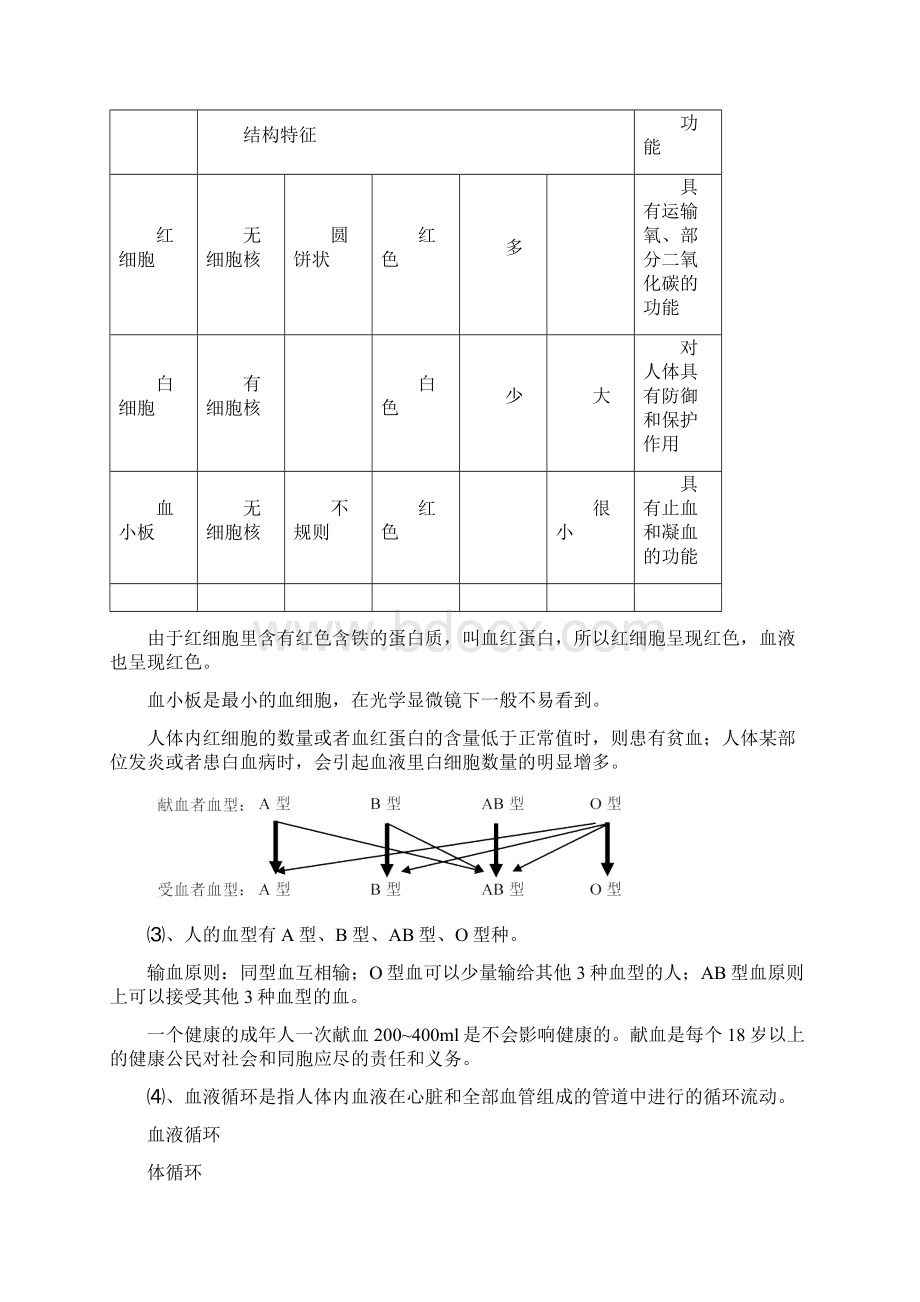 苏科版八年级上册生物复习提纲汇总讲解Word格式文档下载.docx_第2页