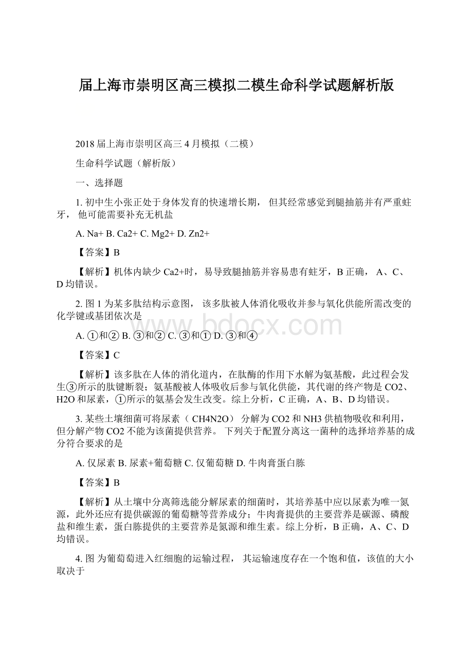 届上海市崇明区高三模拟二模生命科学试题解析版.docx