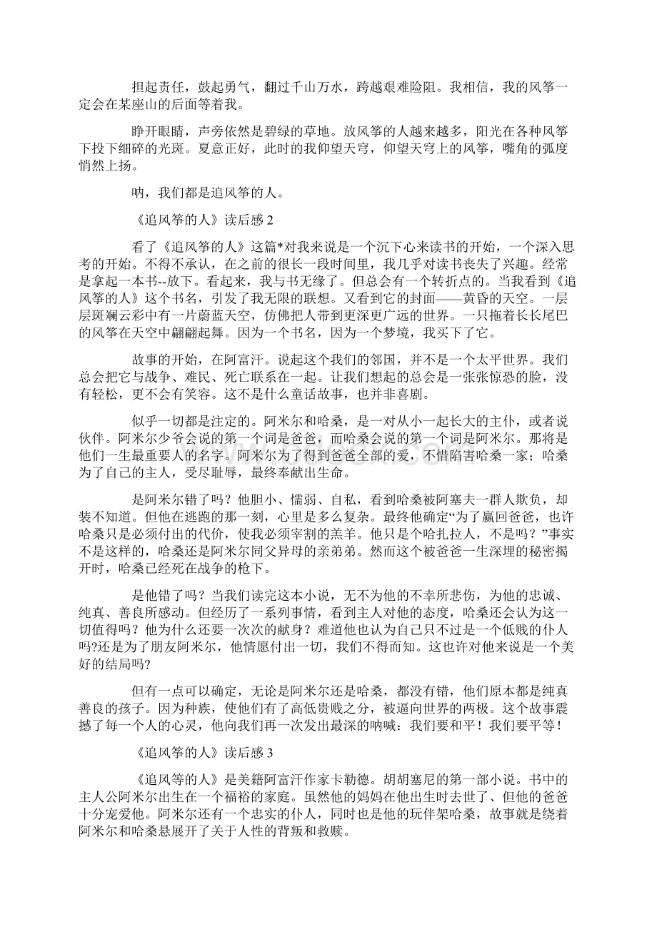 《追风筝的人》读后感初中范文文档格式.docx_第2页