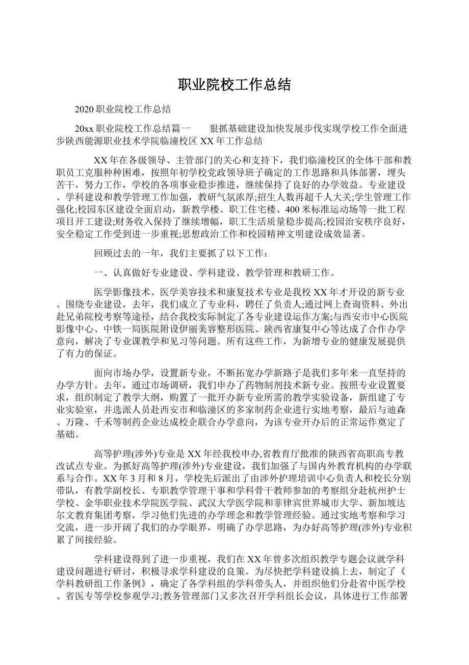 职业院校工作总结文档格式.docx