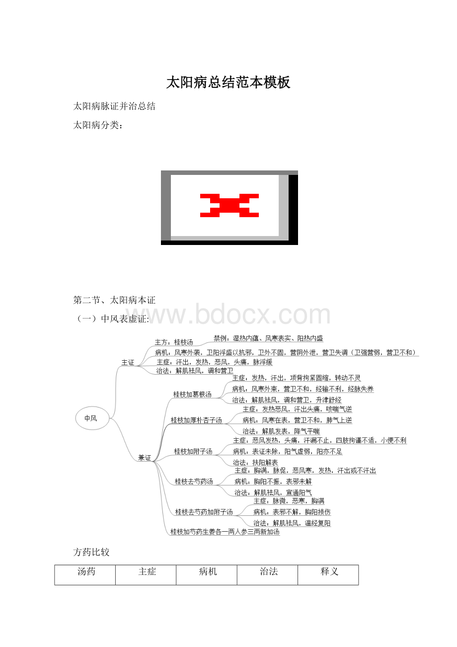 太阳病总结范本模板Word格式.docx