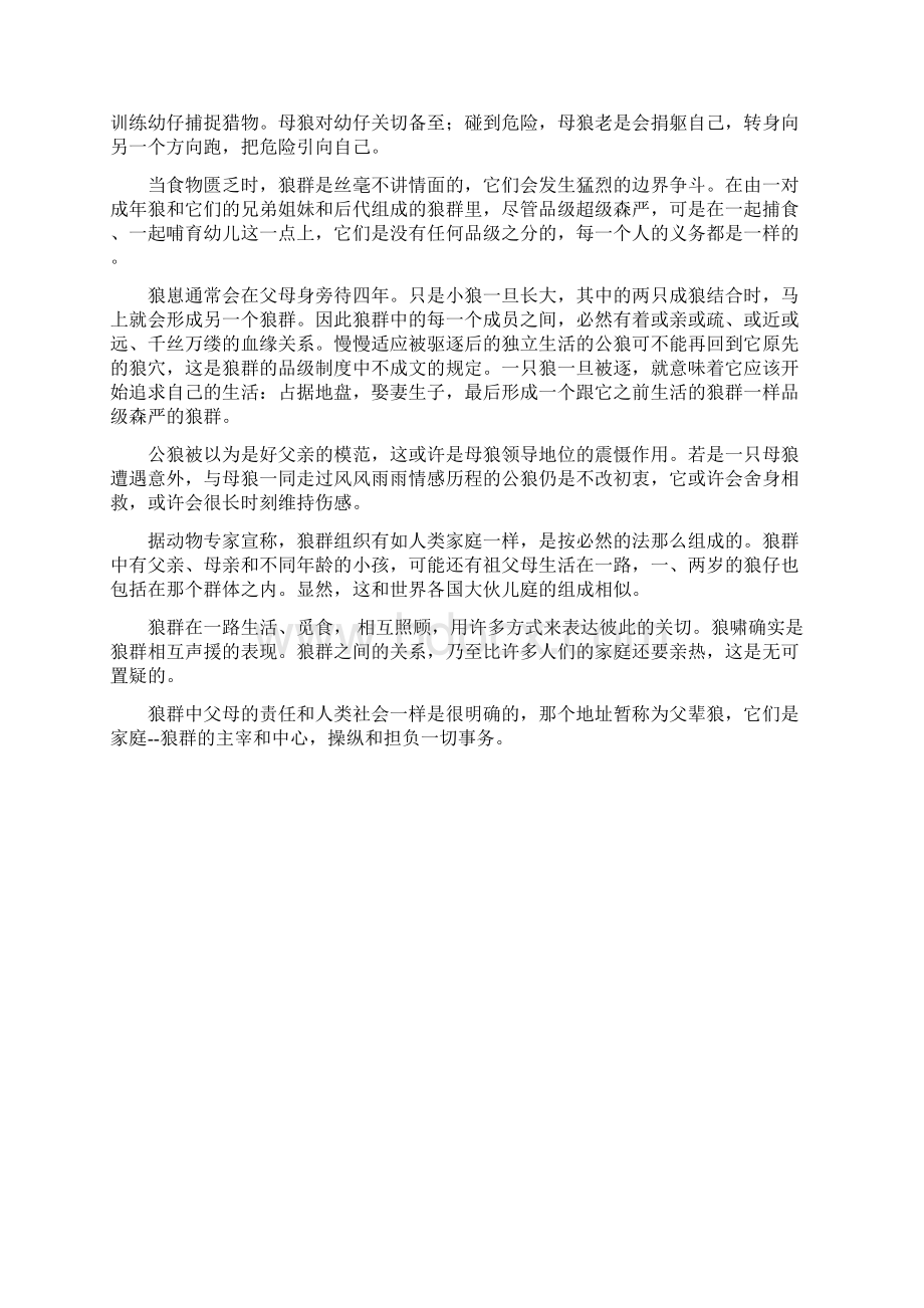 探秘大自然中狼群生活组图Word文件下载.docx_第2页