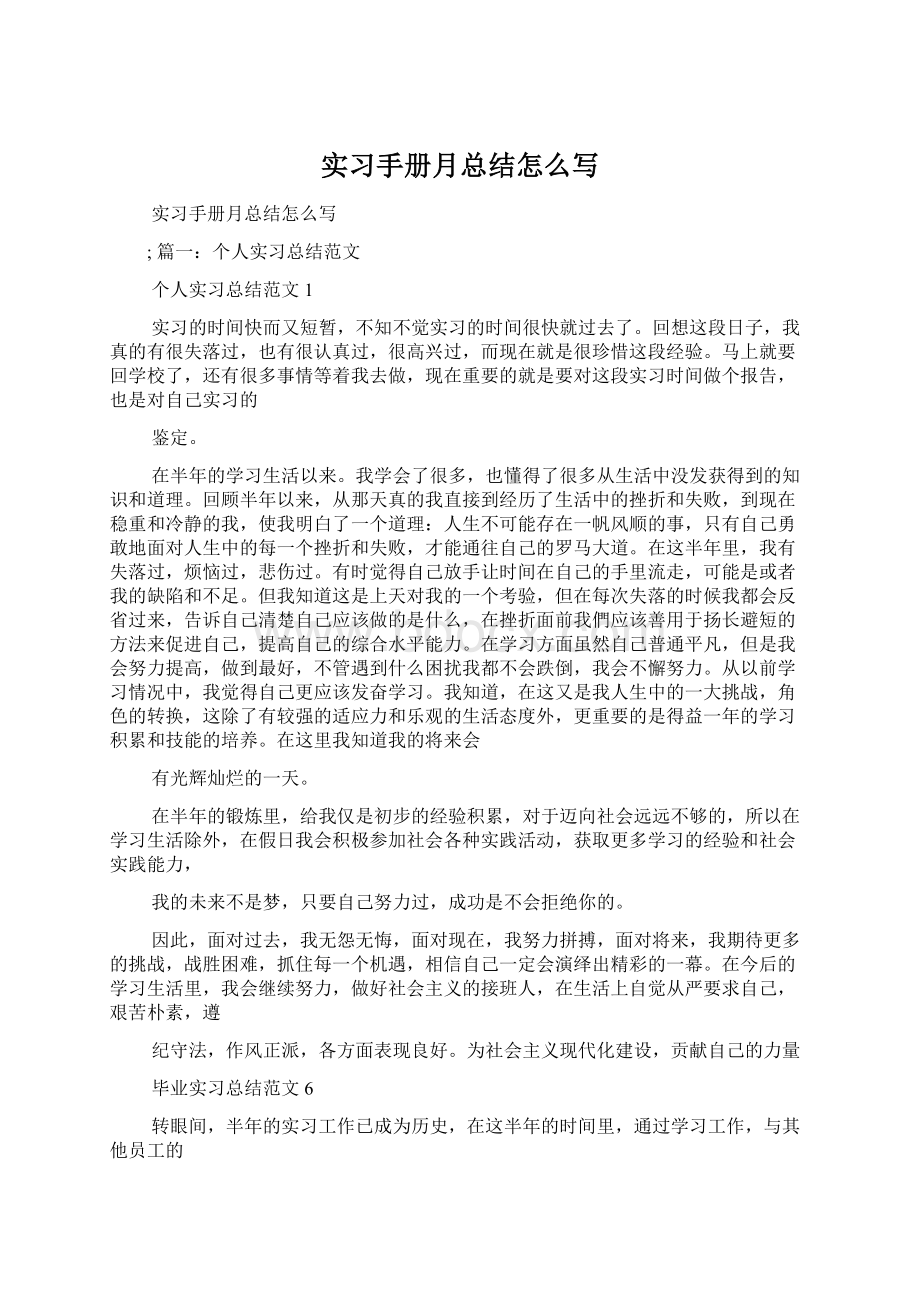 实习手册月总结怎么写Word格式文档下载.docx