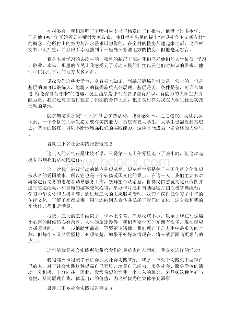 关于社会实践报告的大纲格式范例精选.docx_第3页