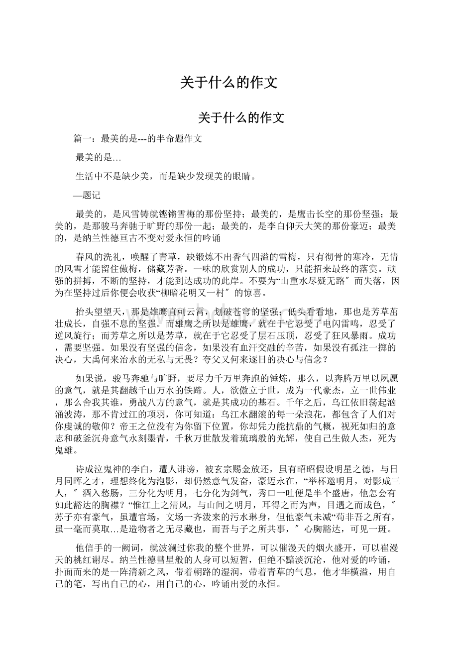 关于什么的作文Word文档格式.docx