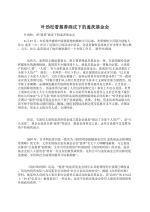 叶劲松看慈善画皮下的盖茨基金会.docx