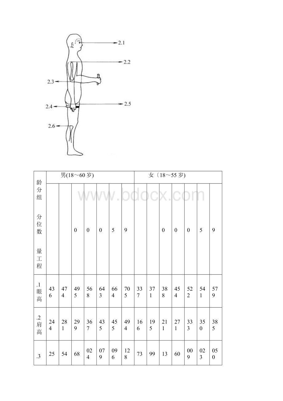 人体主要尺寸.docx_第3页