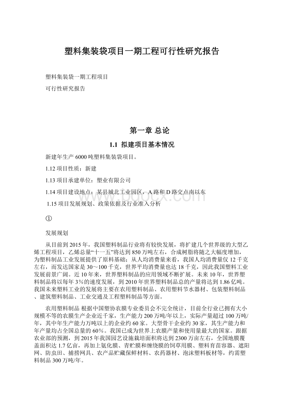 塑料集装袋项目一期工程可行性研究报告.docx_第1页