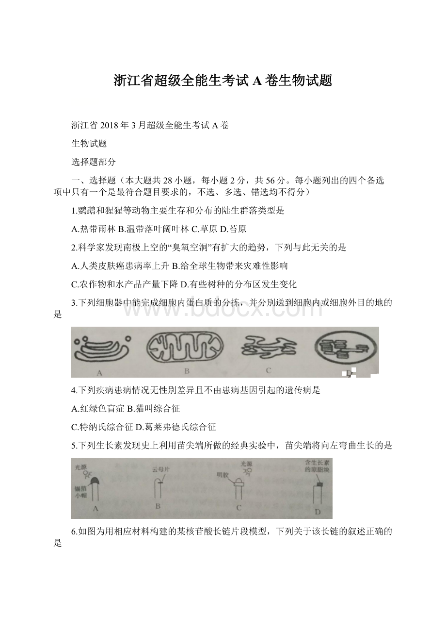 浙江省超级全能生考试A卷生物试题Word格式.docx