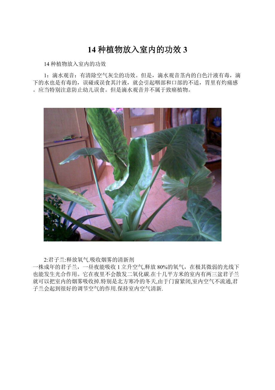 14种植物放入室内的功效3.docx