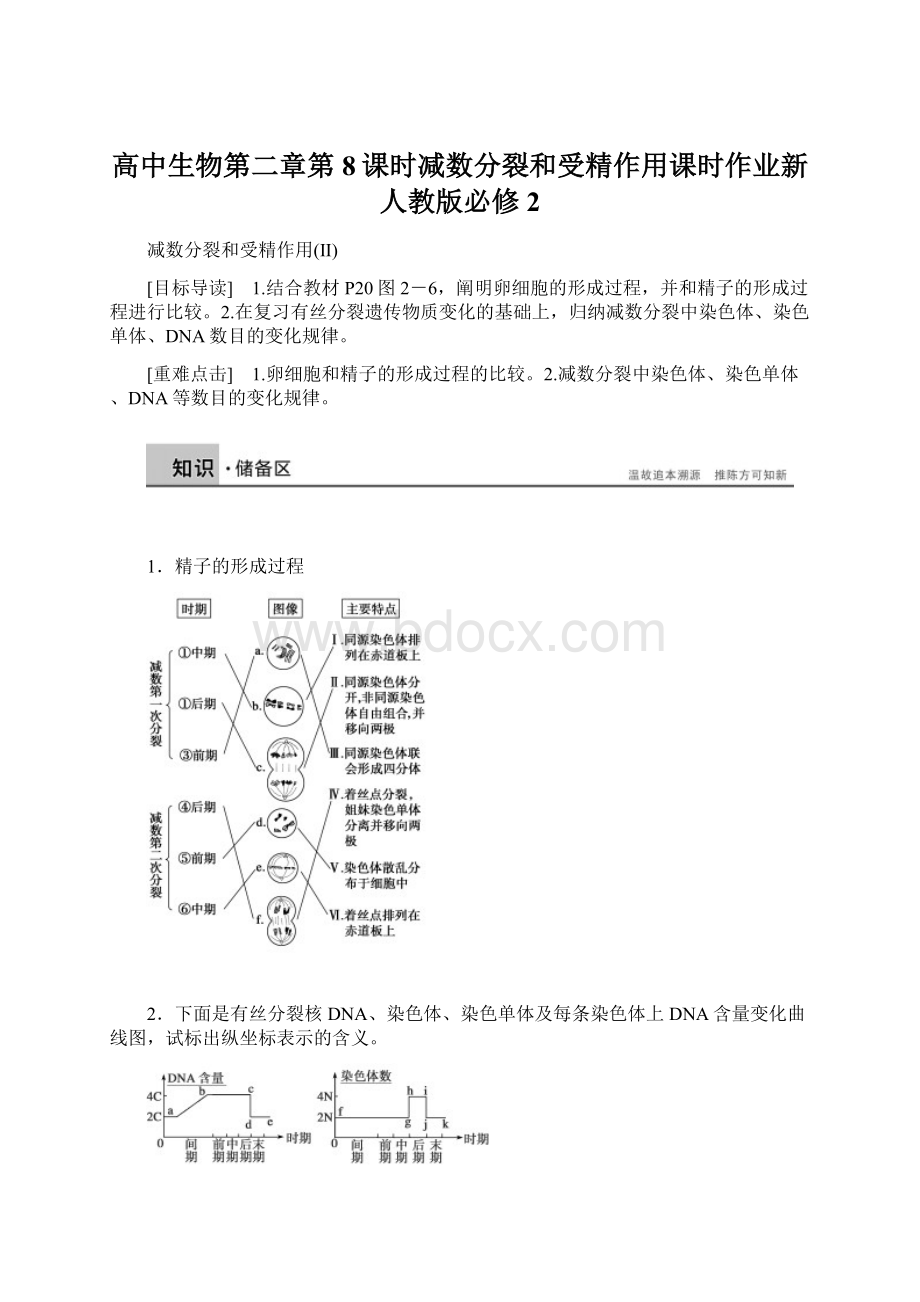 高中生物第二章第8课时减数分裂和受精作用课时作业新人教版必修2.docx_第1页