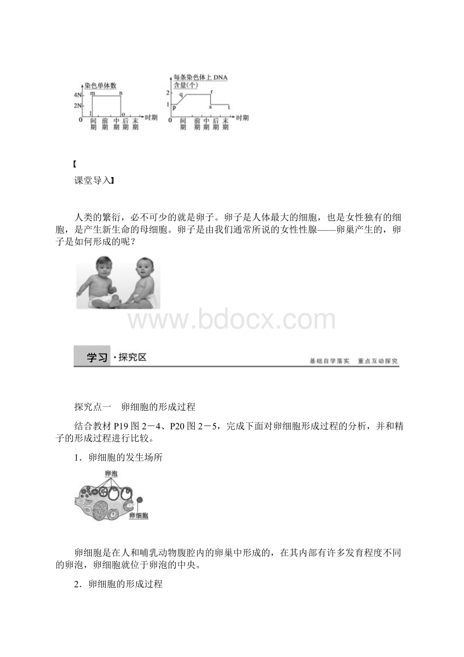 高中生物第二章第8课时减数分裂和受精作用课时作业新人教版必修2.docx_第2页