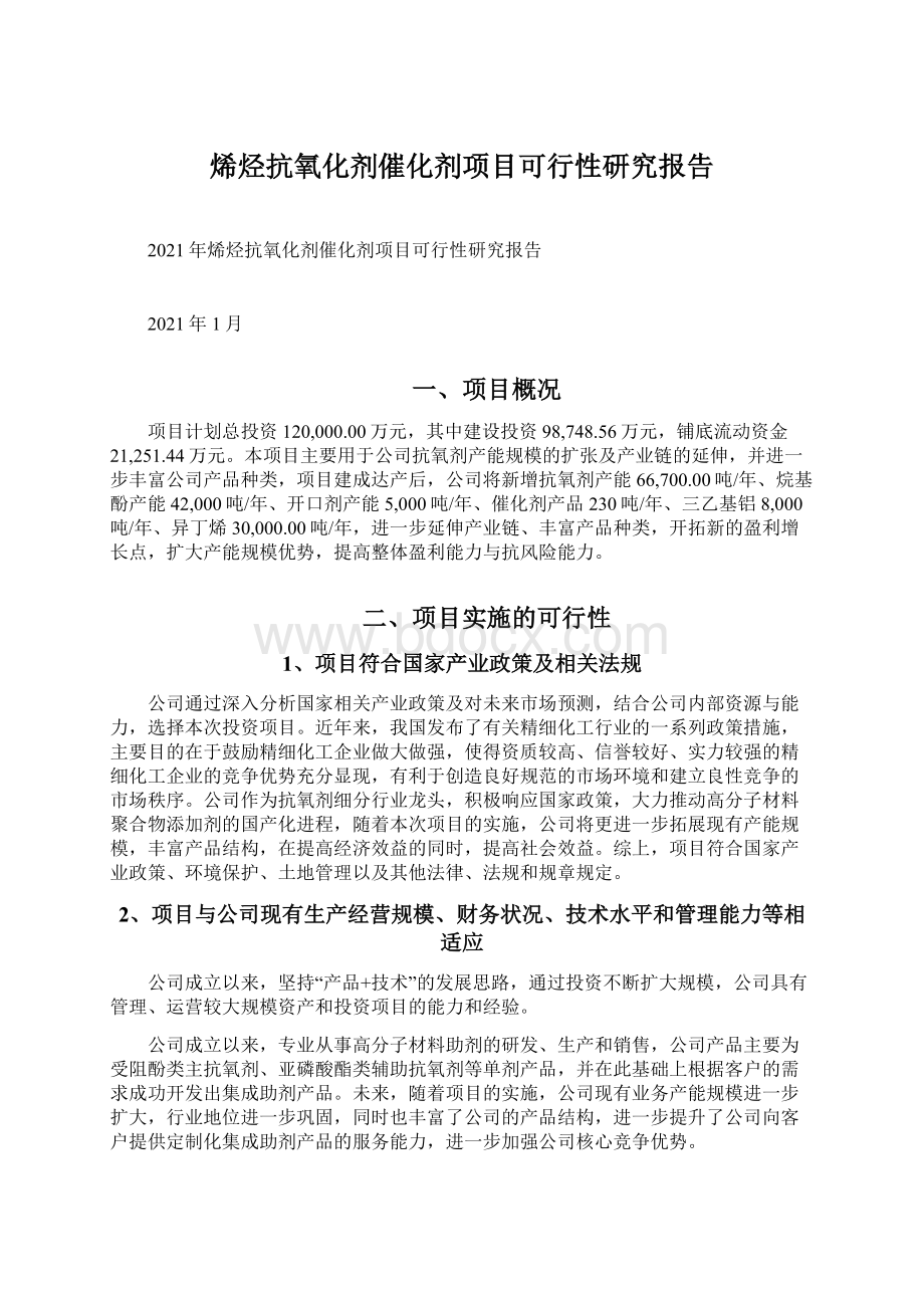 烯烃抗氧化剂催化剂项目可行性研究报告.docx