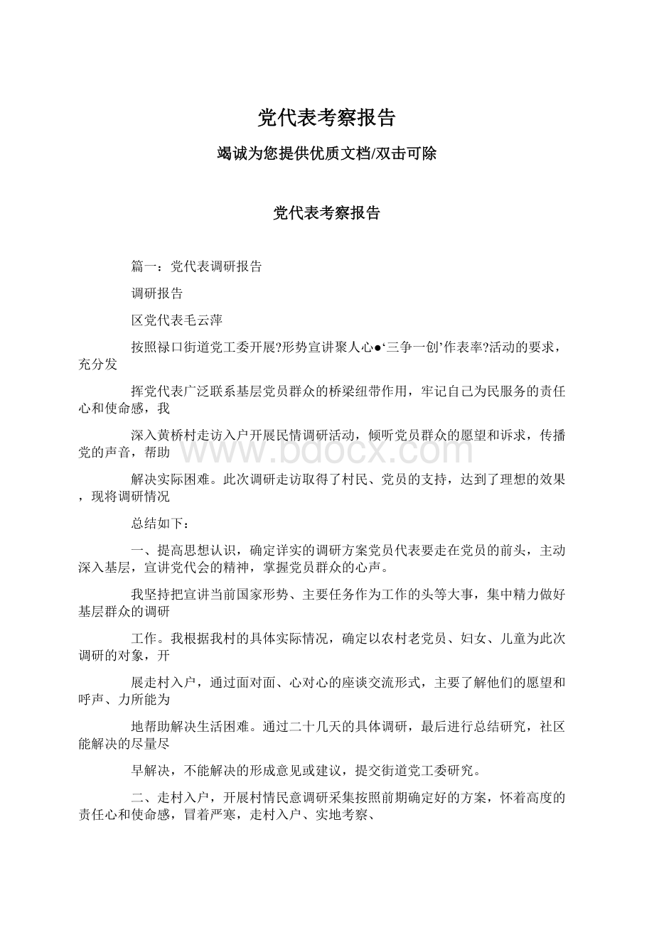 党代表考察报告.docx