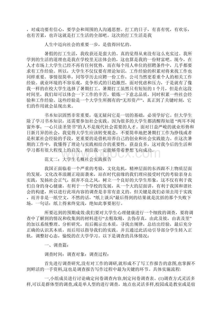 大学生毛概社会实践报告格式范文3000字精选.docx_第2页