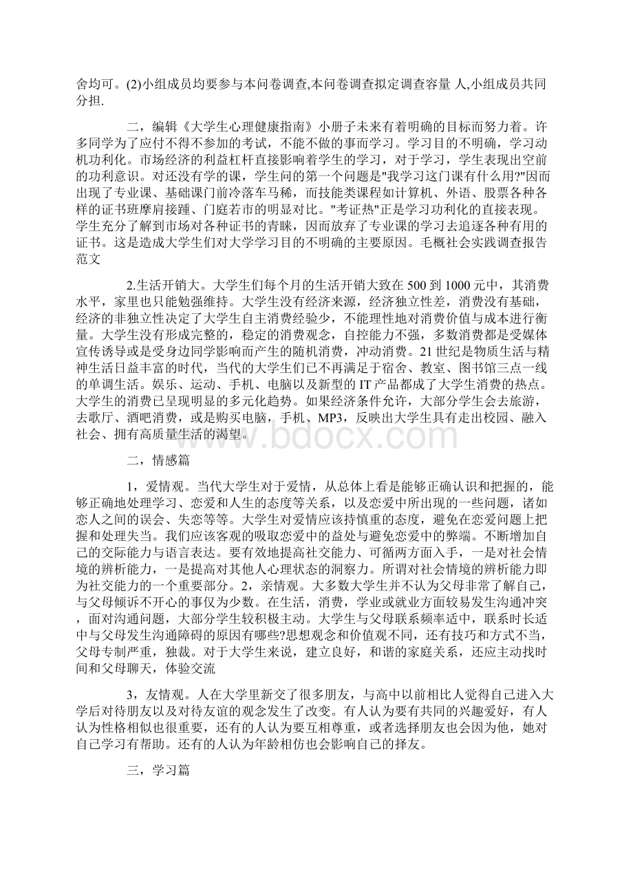 大学生毛概社会实践报告格式范文3000字精选.docx_第3页