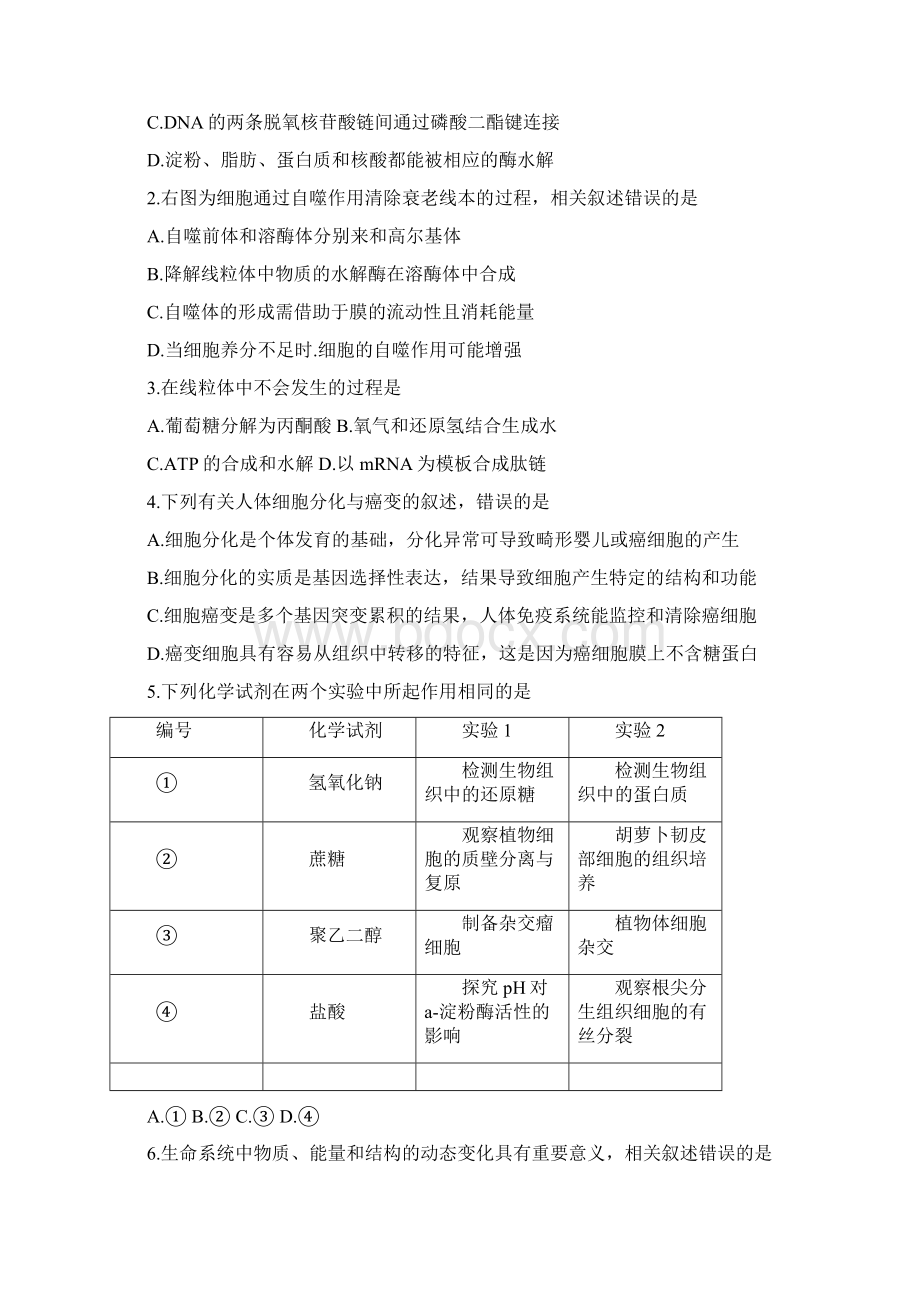 0087江苏省扬州泰州南通淮安宿迁徐州六市届高三下学期第二次调研测试生物试题Word文档下载推荐.docx_第2页