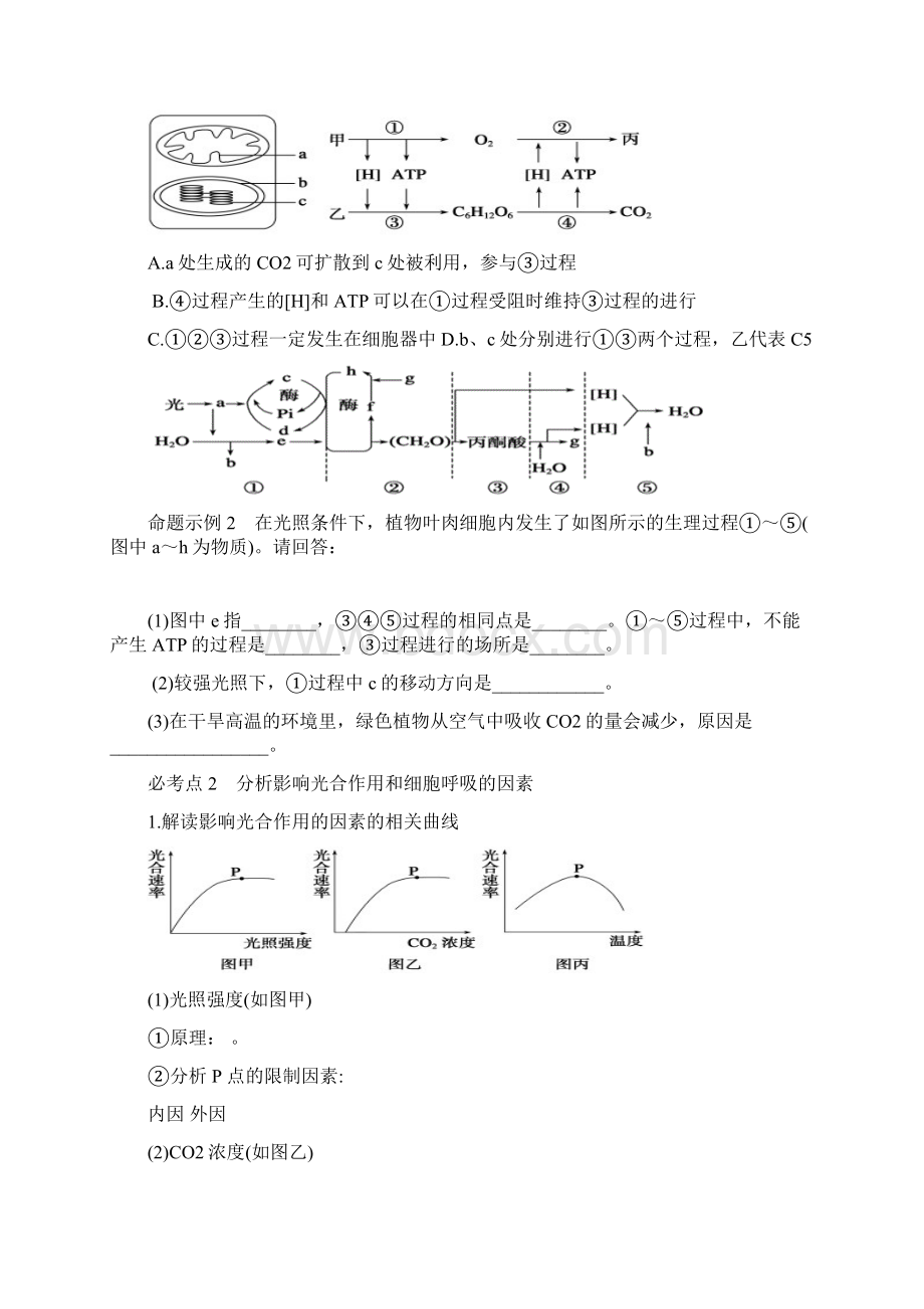 光合作用与细胞呼吸的关系举例总结.docx_第2页