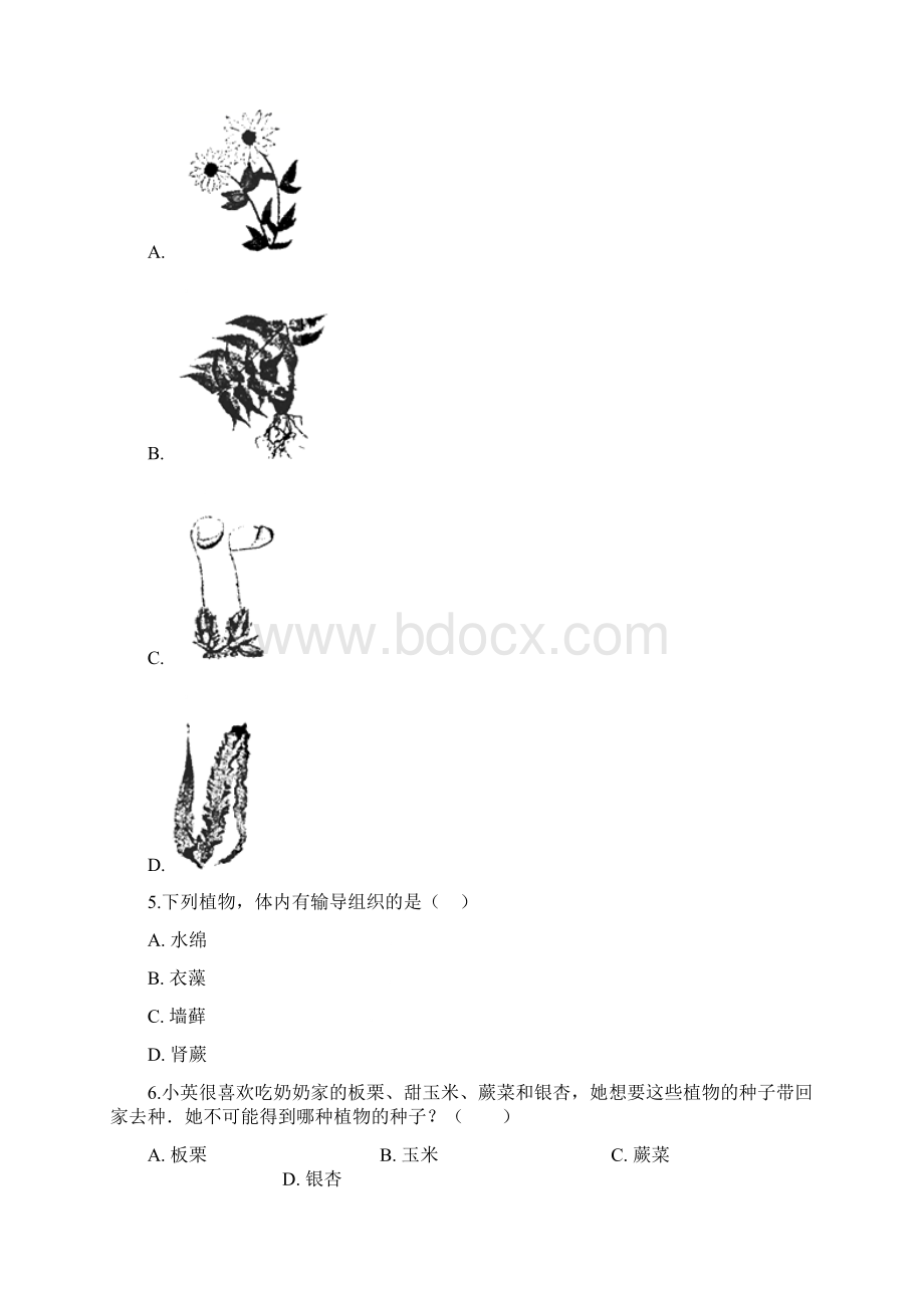 学年苏科版七年级下册生物第十一章第一节 地面上的植物 同步测试.docx_第2页