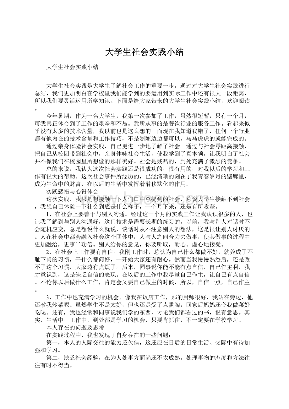 大学生社会实践小结文档格式.docx