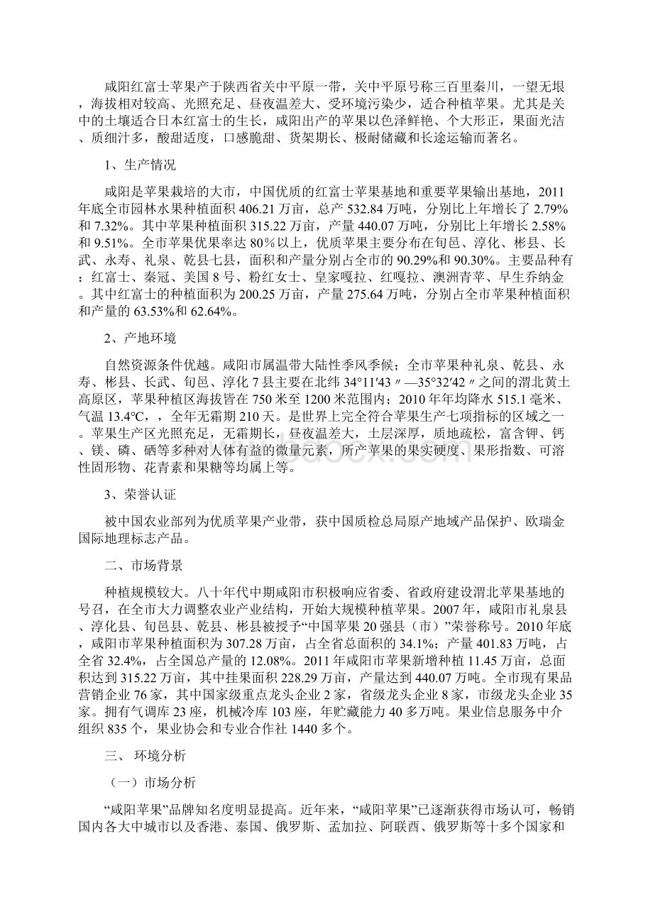 红富士营销策划书.docx_第2页