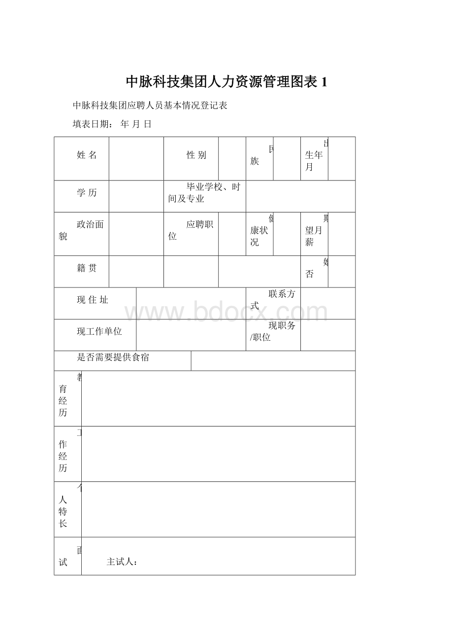 中脉科技集团人力资源管理图表1.docx