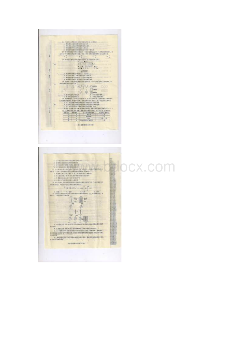 河南省南阳市学年高一下学期期中质量评估生物试题 扫描版含答案.docx_第3页