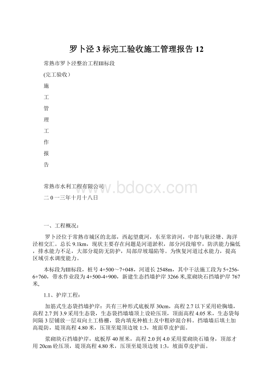 罗卜泾3标完工验收施工管理报告12.docx