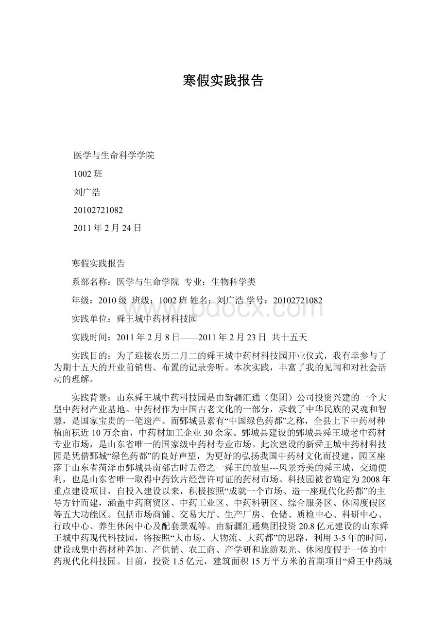 寒假实践报告Word文档格式.docx