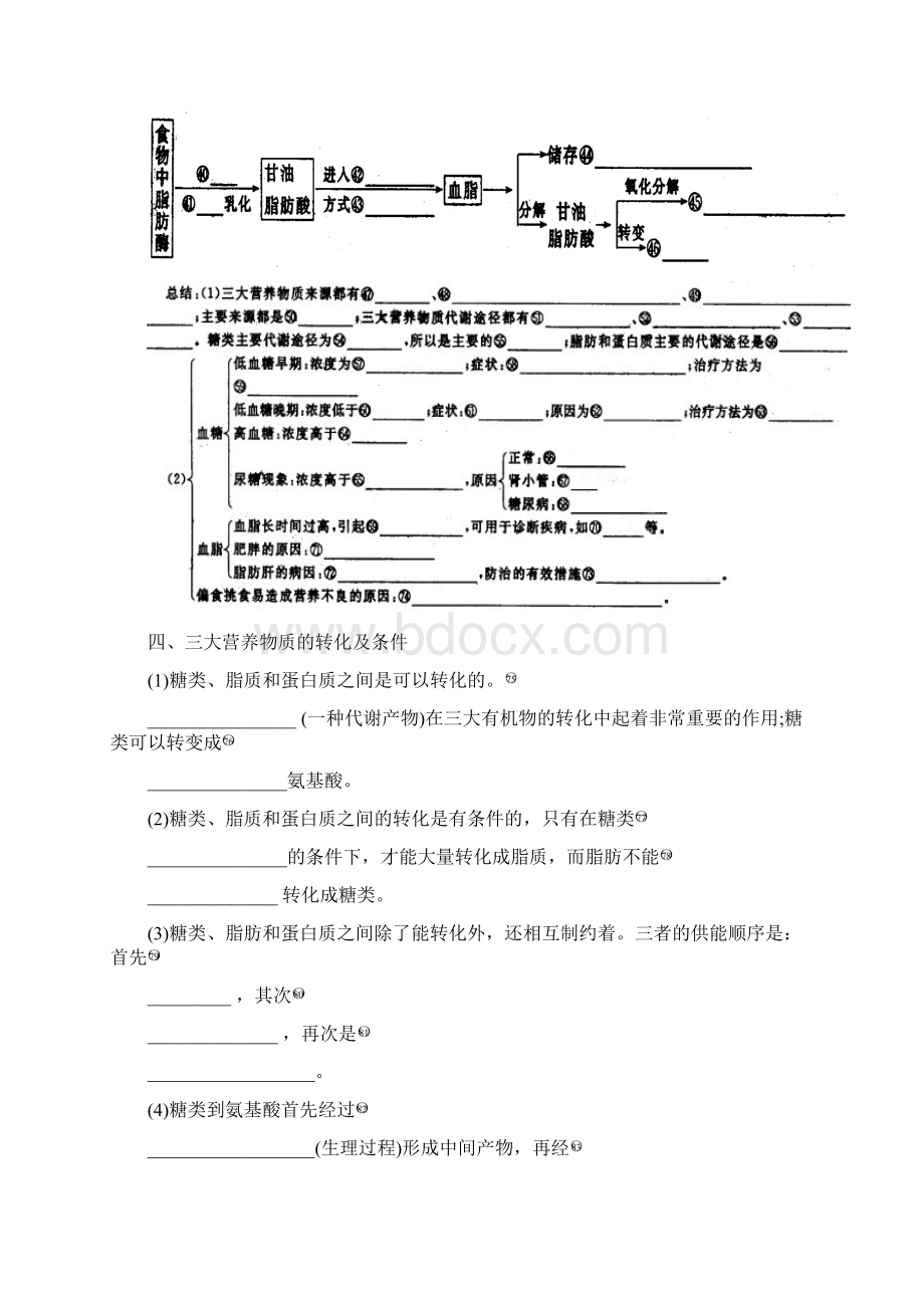 沪科版生命科学高一上44《生物体内营养物质的转变》学案2文档格式.docx_第2页