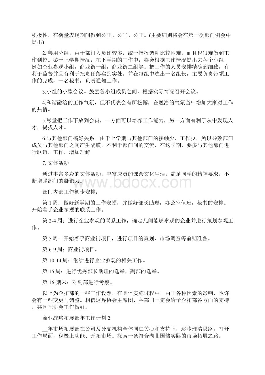 商业战略拓展部年工作计划.docx_第2页