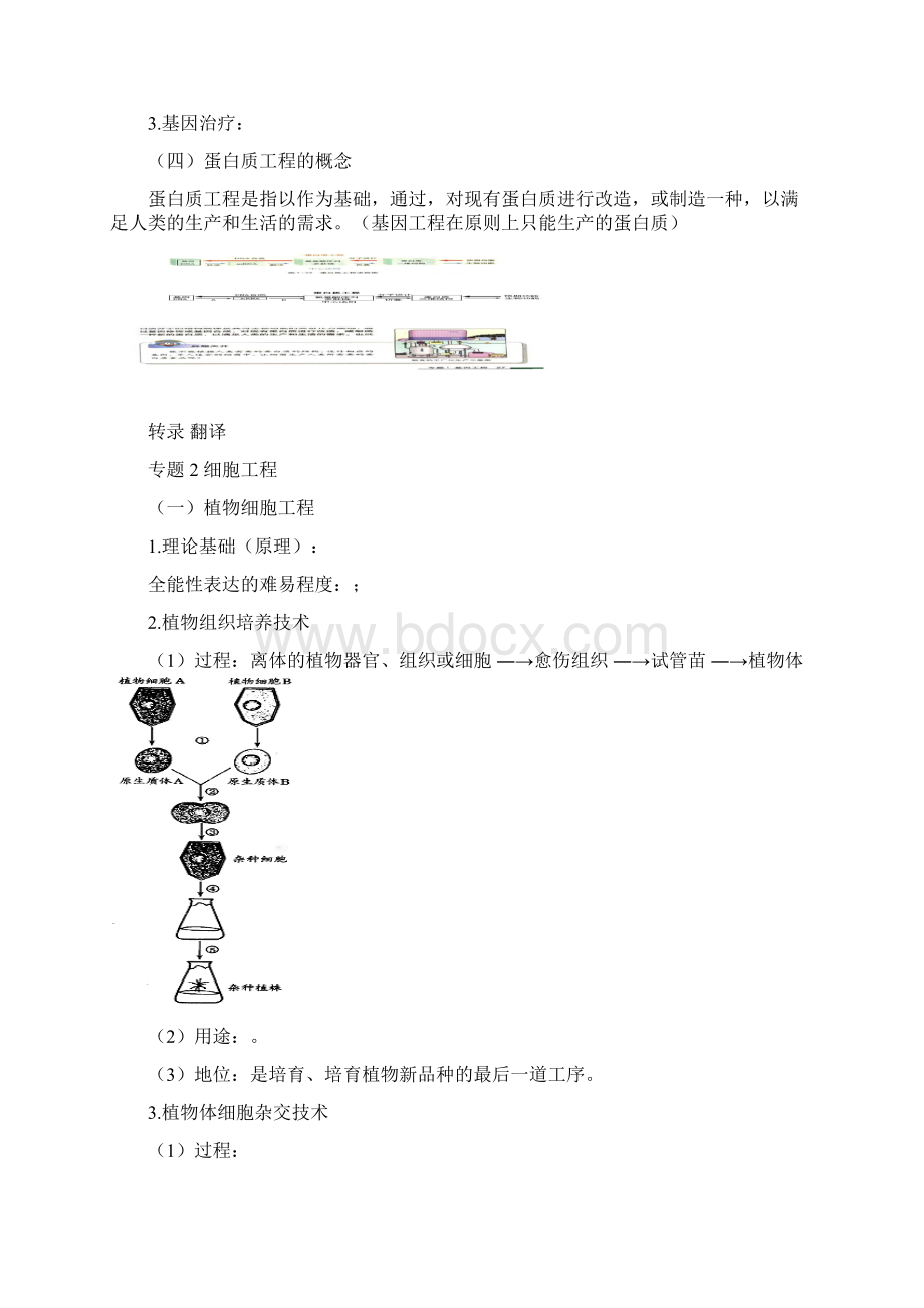 高考生物现代生物科技专题Word文件下载.docx_第3页