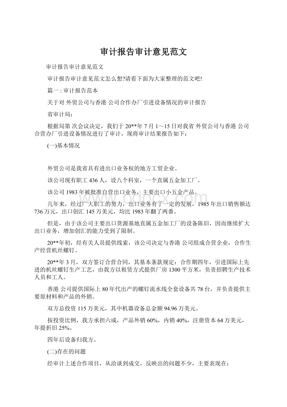 审计报告审计意见范文.docx_第1页