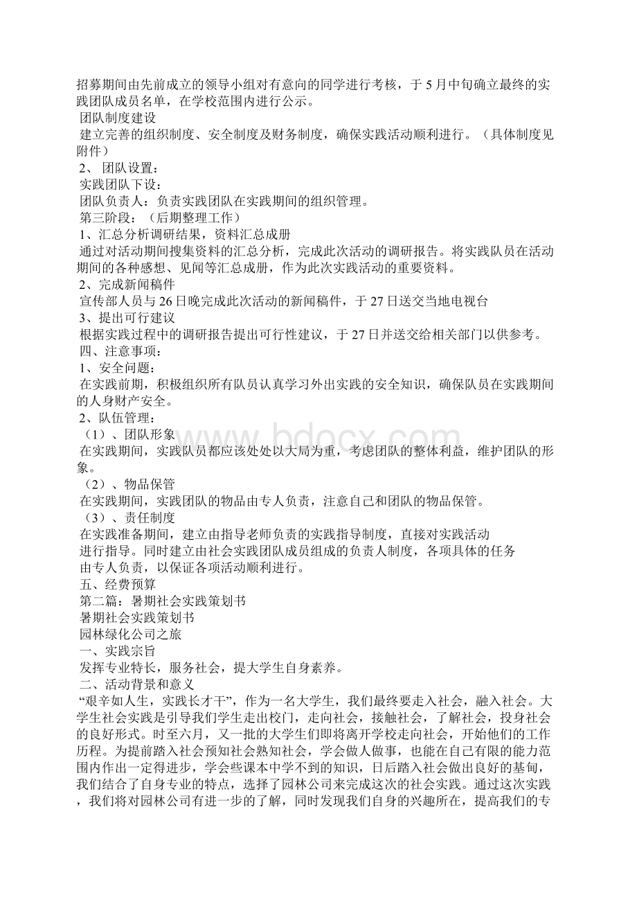 暑期社会实践策划书Word文档下载推荐.docx_第2页