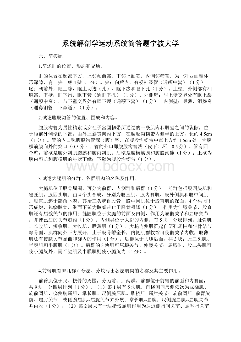 系统解剖学运动系统简答题宁波大学Word文档格式.docx