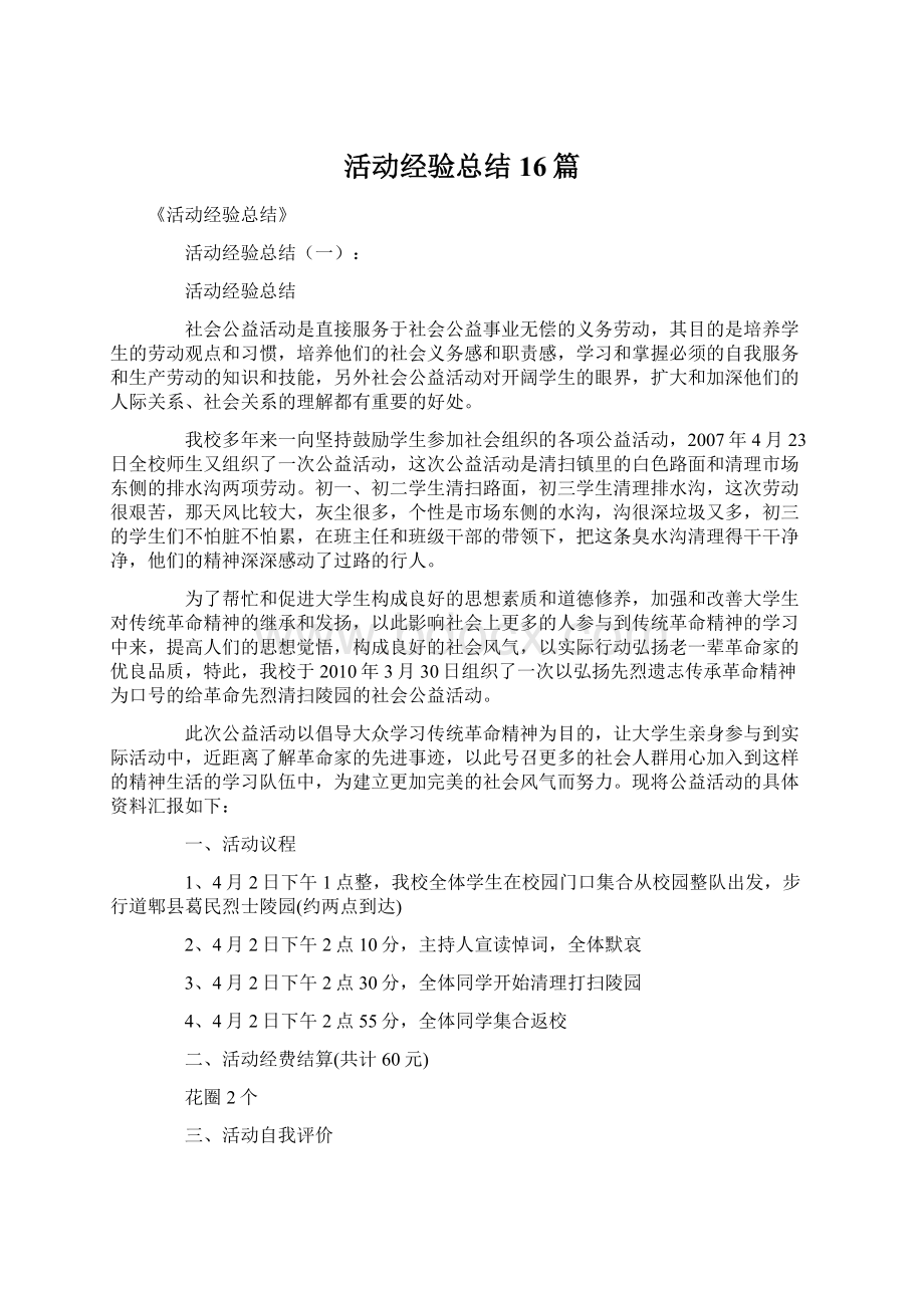 活动经验总结16篇Word格式文档下载.docx