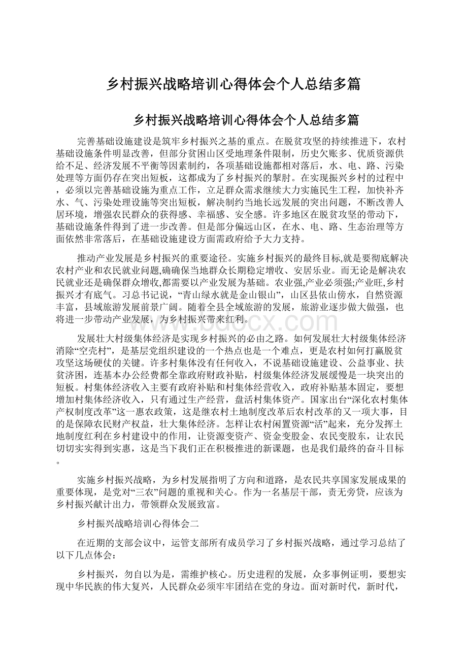 乡村振兴战略培训心得体会个人总结多篇Word格式.docx