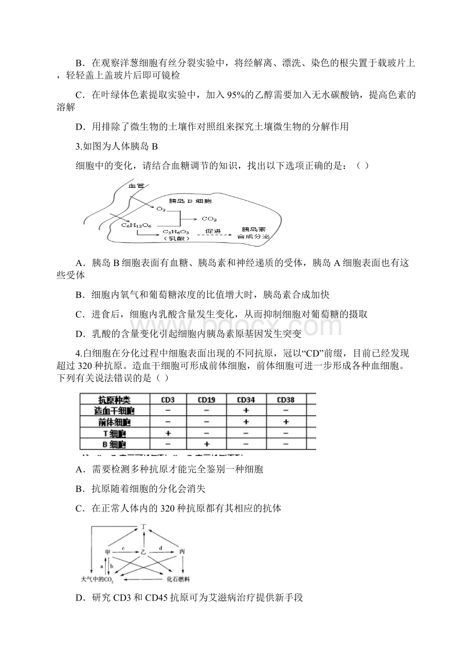 05理综试题Word格式文档下载.docx_第2页