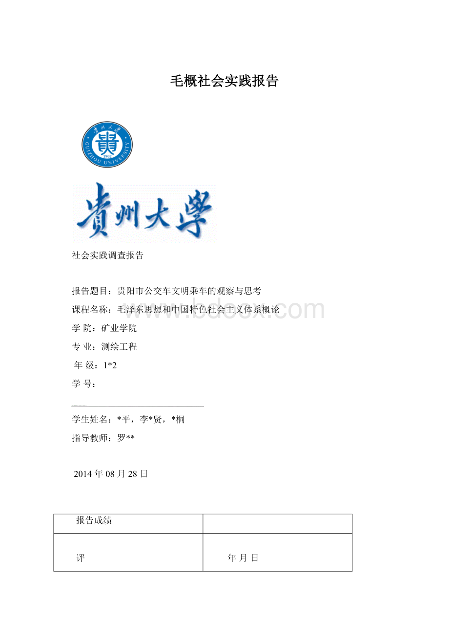 毛概社会实践报告Word格式文档下载.docx_第1页