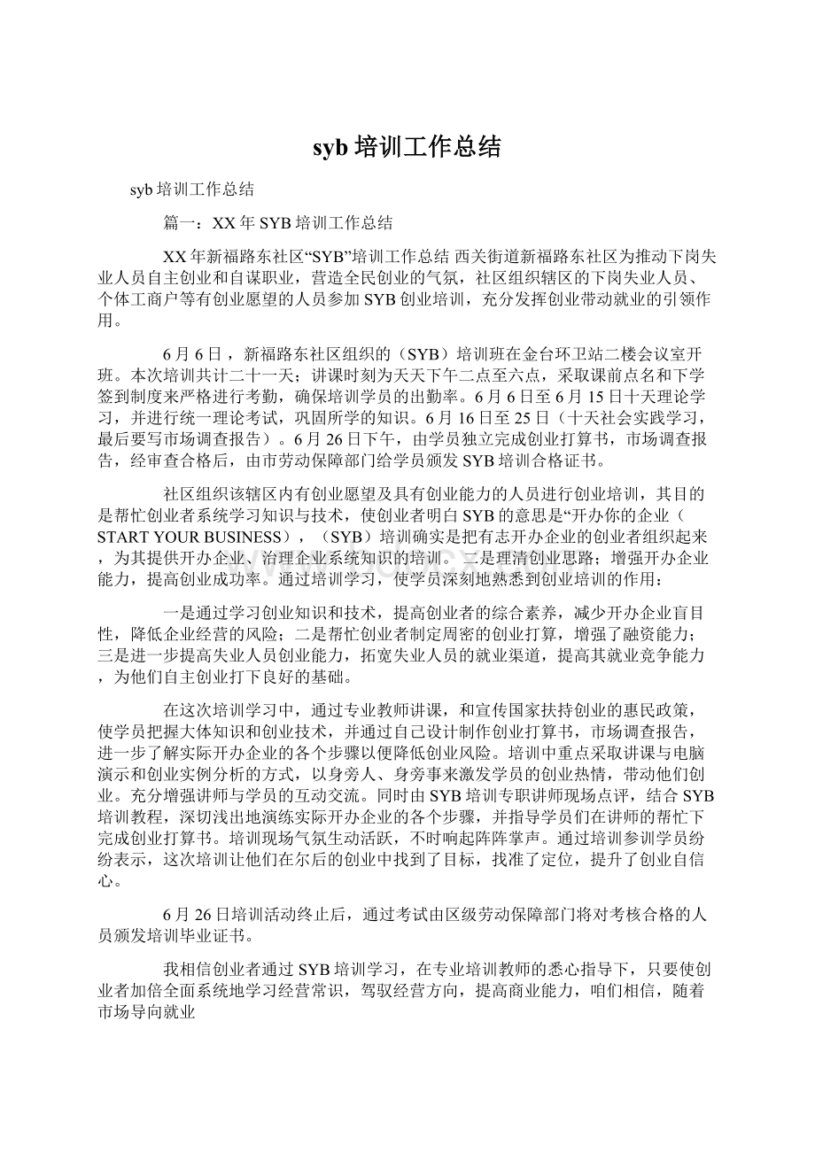 syb培训工作总结Word文件下载.docx