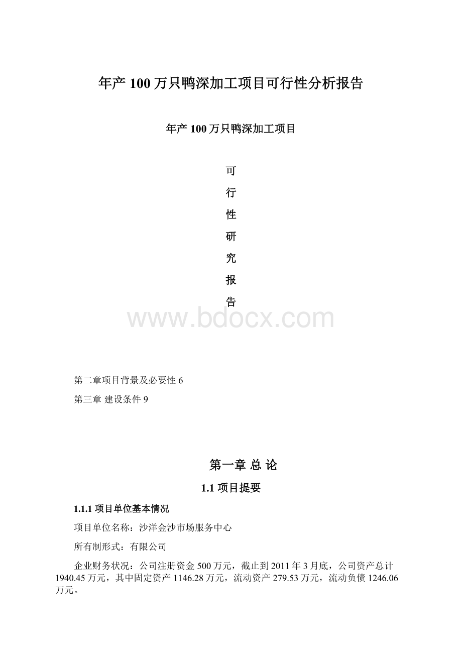 年产100万只鸭深加工项目可行性分析报告Word下载.docx_第1页