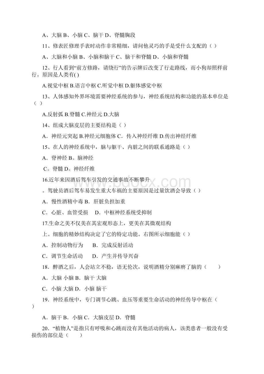 神经调节的结构基础练习题及答案Word文档下载推荐.docx_第2页